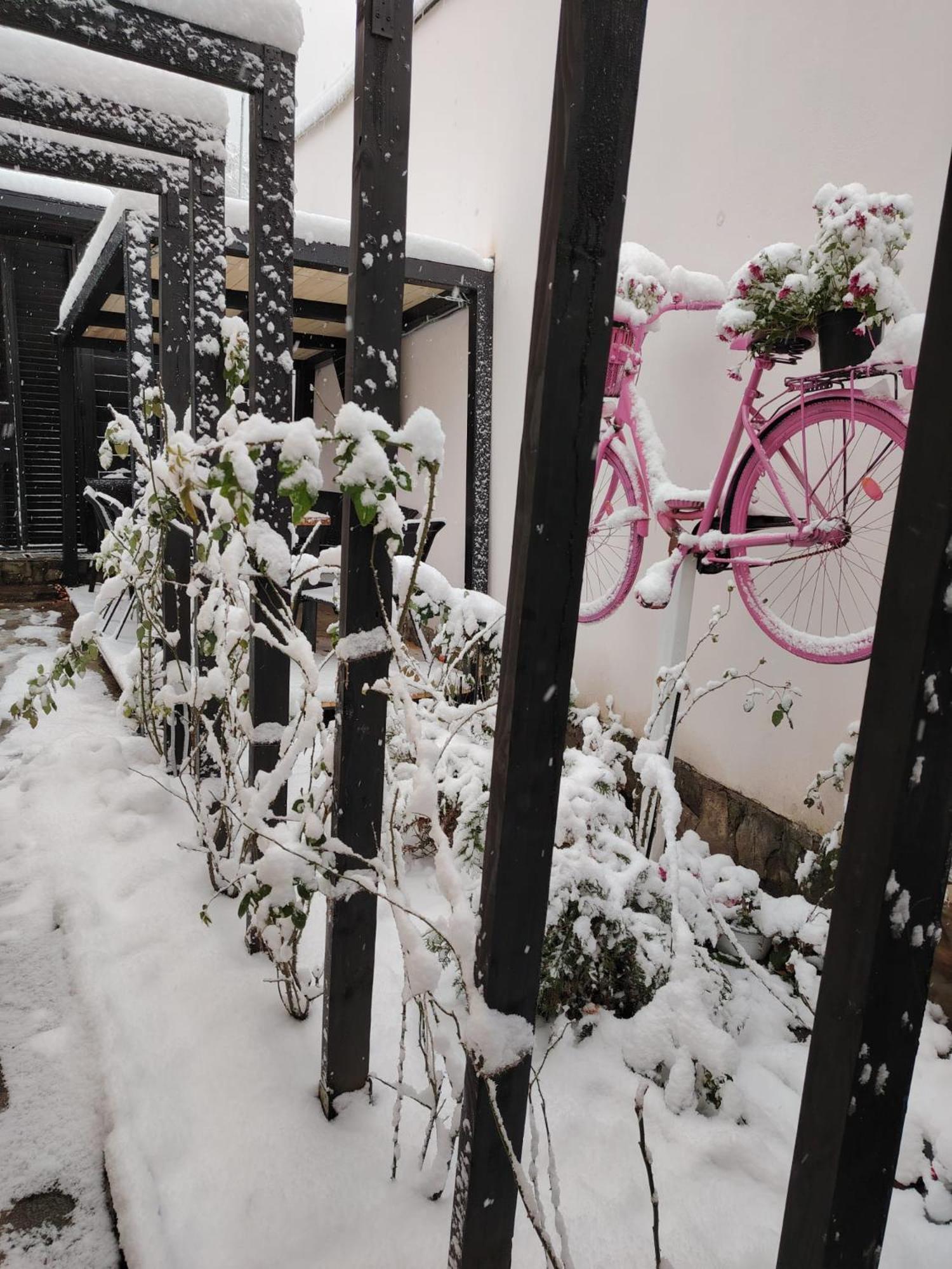 Casa Anne Boutique Hotel Brașov Exterior foto